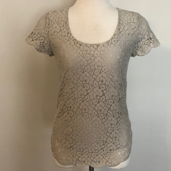 Like-New Grey Lace Talula/Aritzia 'Betsey' Top - Picture 2 of 13